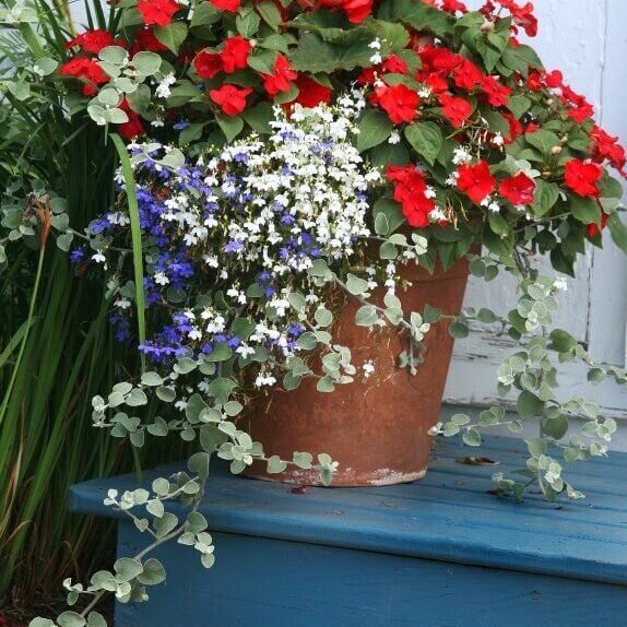 A terracotta garden planter filled with impatiens and lobelia.