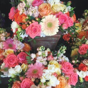 This image has an empty alt attribute; its file name is IMG_3508-300x300.jpg