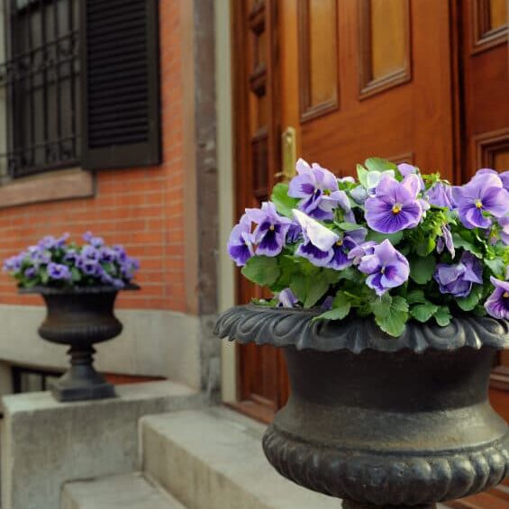 Elegant Garden Urn Framing Door Entrance