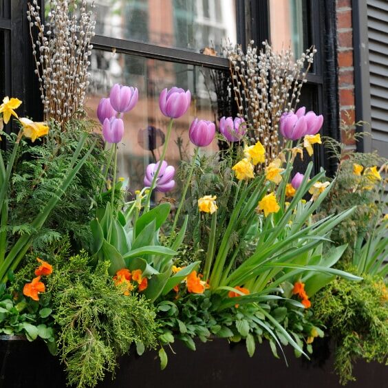 Window Box Flower Arrangement
