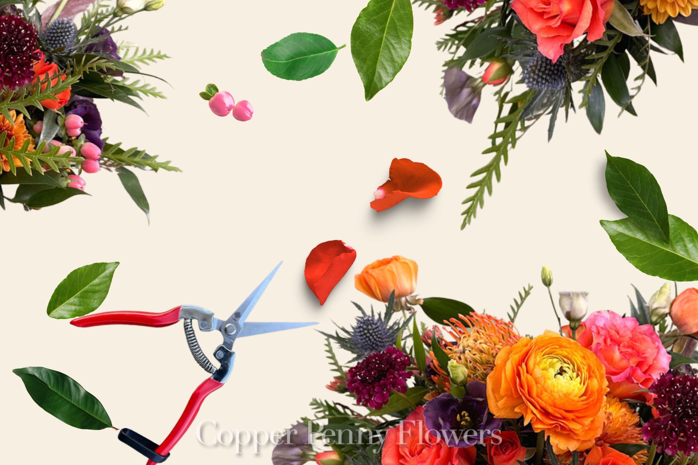 Saturday Design Workshops