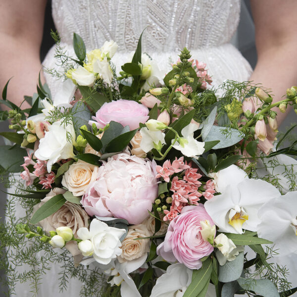Elicia and Hercules at Fairmont Copley Plaza