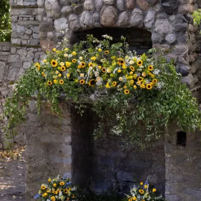 emilytheknotautumn2025