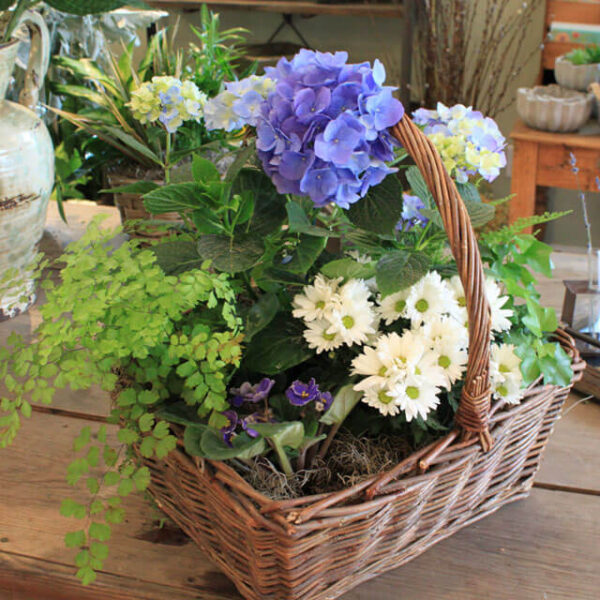 Garden In A Basket