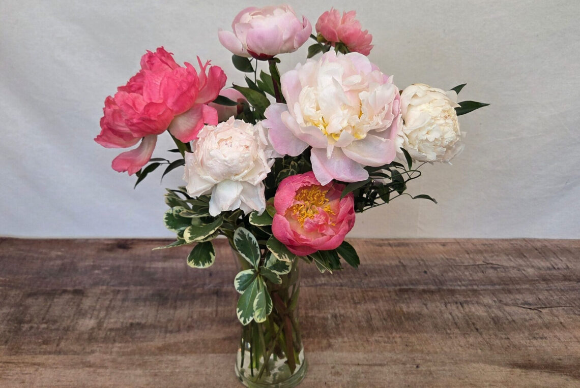 June Swoon is a mixed selection of peonies with greenery in a glass vase
