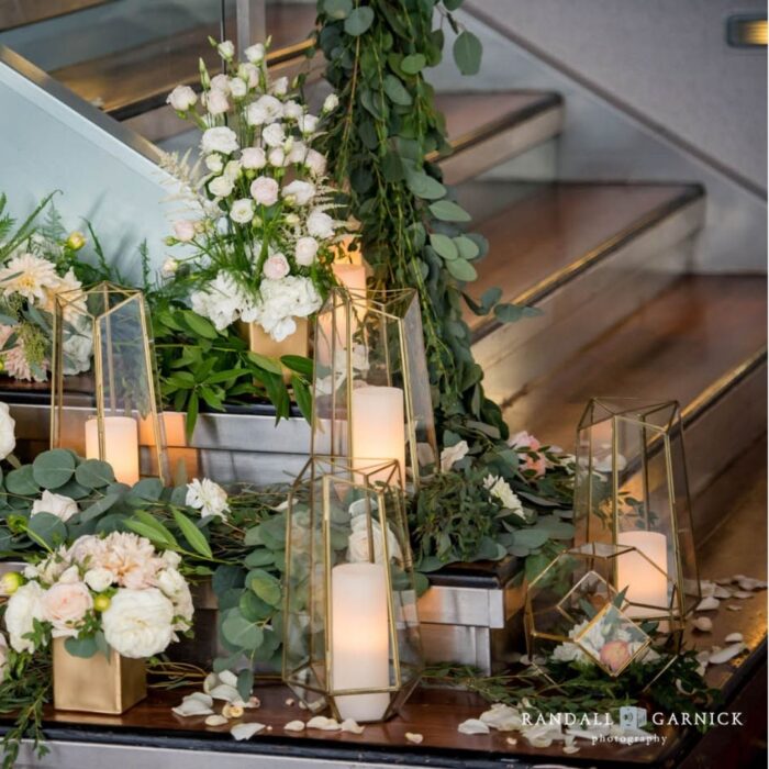 terrarium collection a