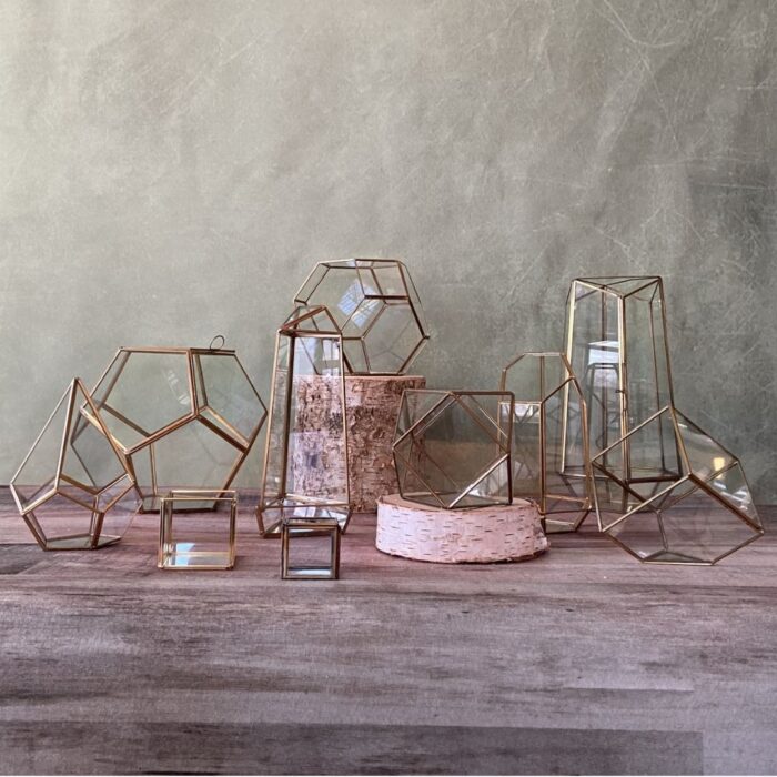 terrarium collection b