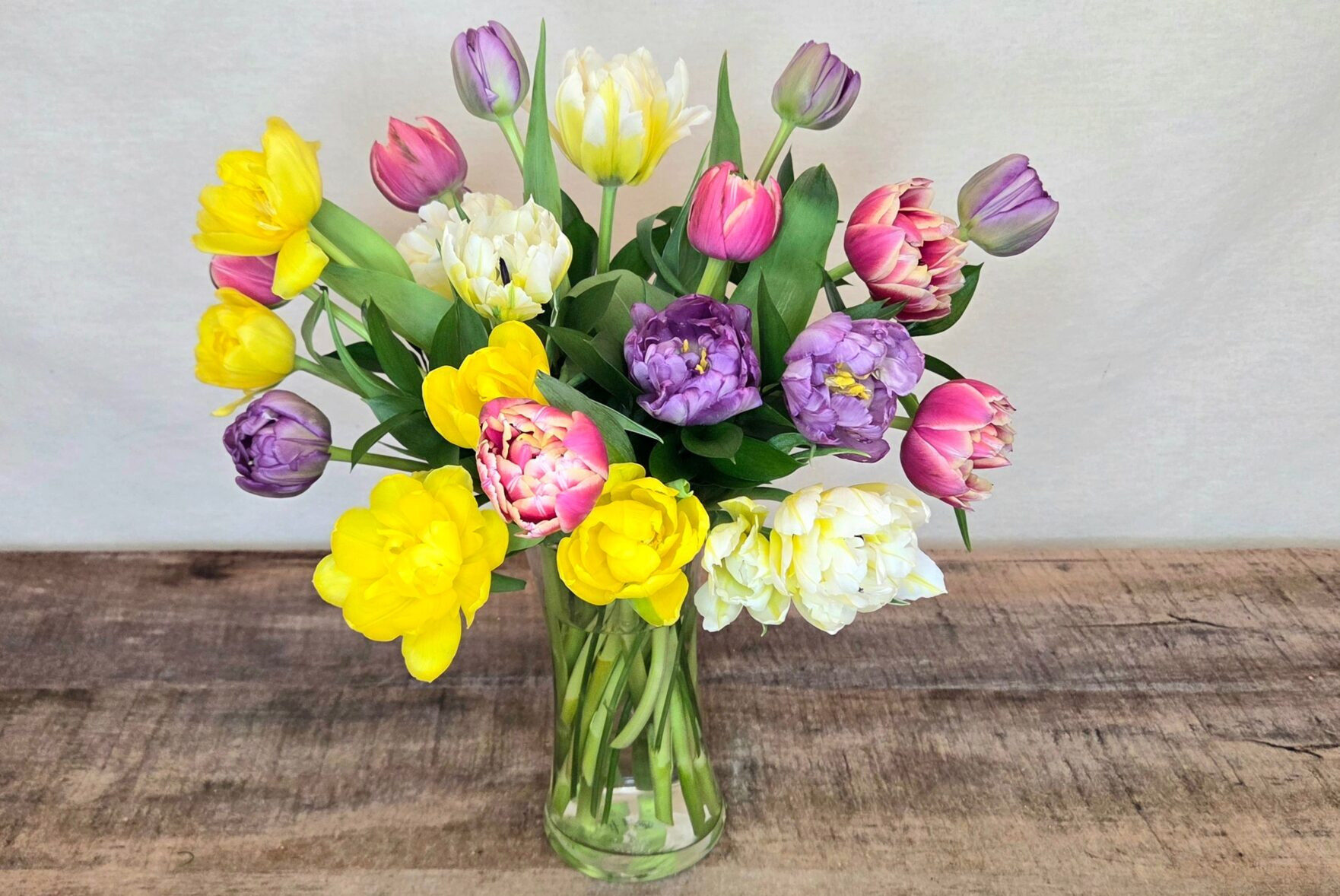 Tulip Twistis two dozen tulips, mixed colors, in a glass vase